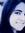 Lilly I...