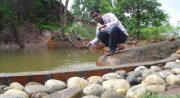 Sadeesh Kumar