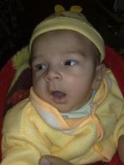 Radi Elshazly