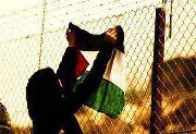Ghadeer Zuhour