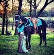 Savannah