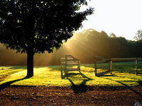 فيصل عبدالقادر