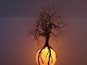 Maria Jansen-hilvering