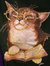 AmyCat