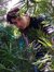 Alexand...