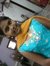 Susmita...