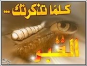 Ashraf Yousef