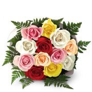 Fariha Shamshad