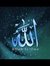 Ahmed E...