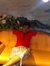 Zakir S...