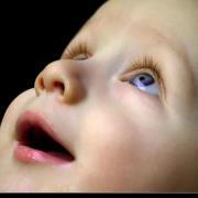 يحيى الجندى