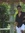 Karan B...