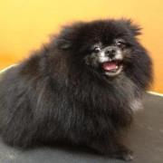 Alyssa Thesockmonkey