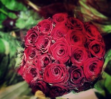 موضي القرناس