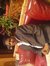 Elgohar...