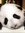 Ethan Ong