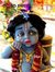 Ruchi B...