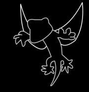 จิ้งจก ติดปีก