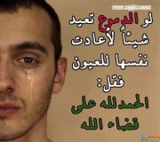 زهرة الربيع