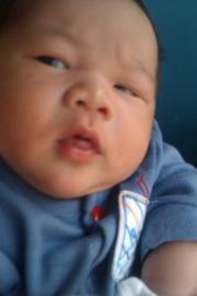 Laxmi Castañeda-gonzales