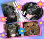 Franklinoliver Gorham