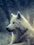 White Wolf