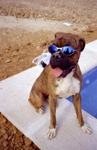 Ignacio García blas