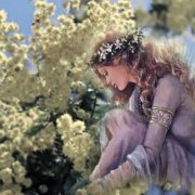 عبق الياسمين