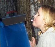 Darcey 'benoit' stransky