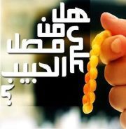 حسن ابوالشيخ