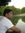 Rishav ...