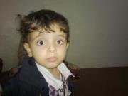 ابوبكرمحمدمحمدالنور النوزر