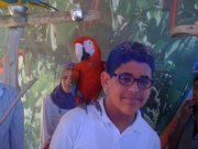 Omar Sallam