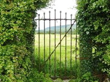 Side Gate