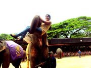 Deepthi Narayanaswamy