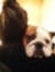 Katie S...