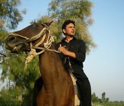 Muhammad Sheeraz