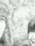 Ian Hexter