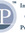 IP (interactive Publications)