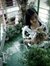 My Trang