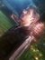 Rishabh...