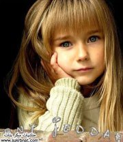 الوردة البيضاء