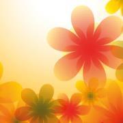 زهرة الأوركيد