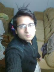 Hassan Shokat