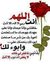 Maye Ahmed