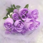 كفاية ابوشقير