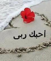 قطوفها دانيه