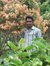 Yadav K...