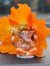 Shweta ...
