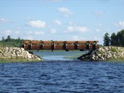 Elizabeth Piotrowski